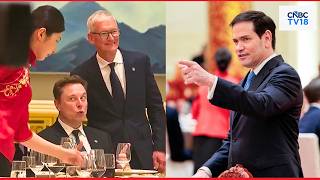 SPOTTED: Elon Musk Poses for Pictures With Apple's Tim Cook at the Chinese State Banquet | N18G