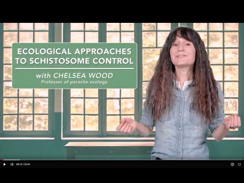 Ecological approaches to schistosome control