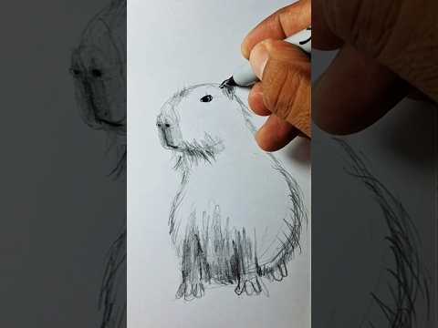 Aprende a como dibujar un Capibara y a delinear con marcador #capibara #dibujo #ink #tinta #lapiz