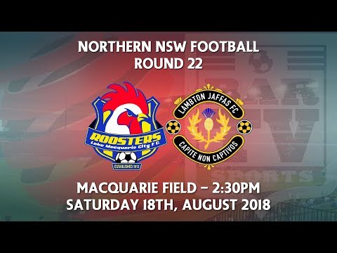2018 NNSWF NPL Round 22 - Lake Macquarie City FC v Lambton Jaffas FC