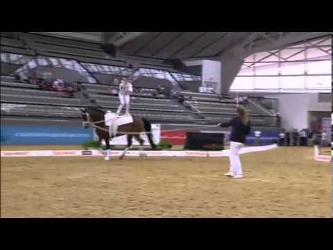 CVI Doha 2014 - Patrick Looser - Free Style - Swiss Vaulters