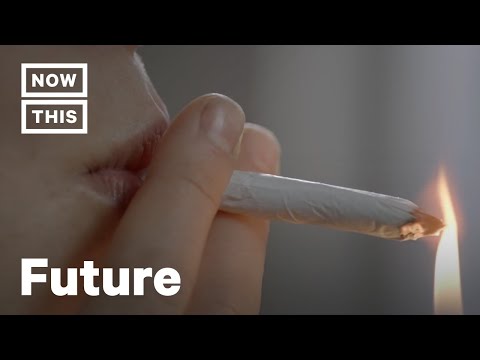 Why Does Weed Makes Some People Paranoid? | FAQs | NowThis