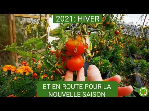 , title : '#32 2021 hiver et en route pour la nouvelle saison( belle récolte de tomates)'