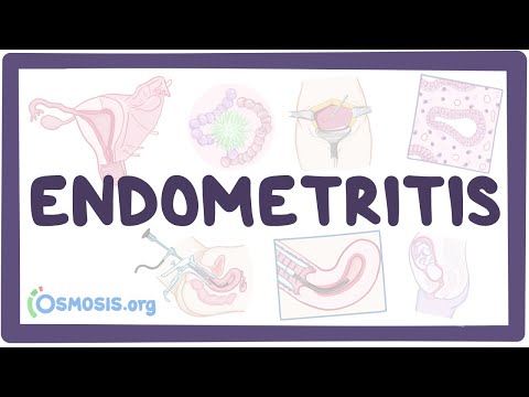 endometrium rák esgo