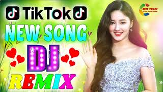 New Tiktok Hindi Dj Song 2020  Hindi New Song Dj R