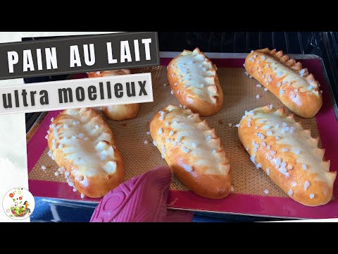 Recette: Petit pain au lait ultra moelleux! très économique et ludique