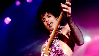 Prince - The Lubricated Lady