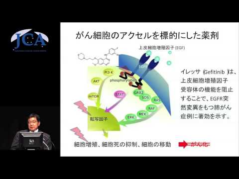 栄養学科 講演2「がん細胞を標的にする」石川冬木（京都大学大学院　生命科学研究科）