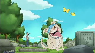Download lagu King of The hill: Hank wants to adopt Caesar Salad.  mp3