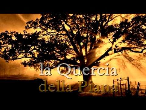 BooKTrailer LA QUERCIA DELLA PIANA - Cronaca di un mistero popolare