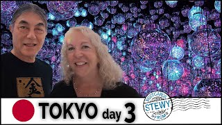 JAPAN - Tokyo Tower, walking tour,  teamLab Borderless
