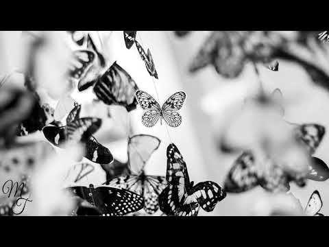 Fariborz Lachini | Staring in a Mirror