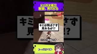 ドパガキ矯正動画、見つかる【スプラトゥーン】【スプラ小ネタ】