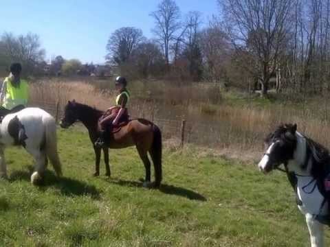 hack down to the pub with the ponios :)))