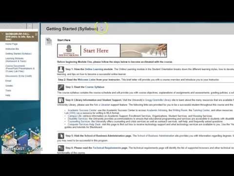 Badm 290 Blackboard Overview