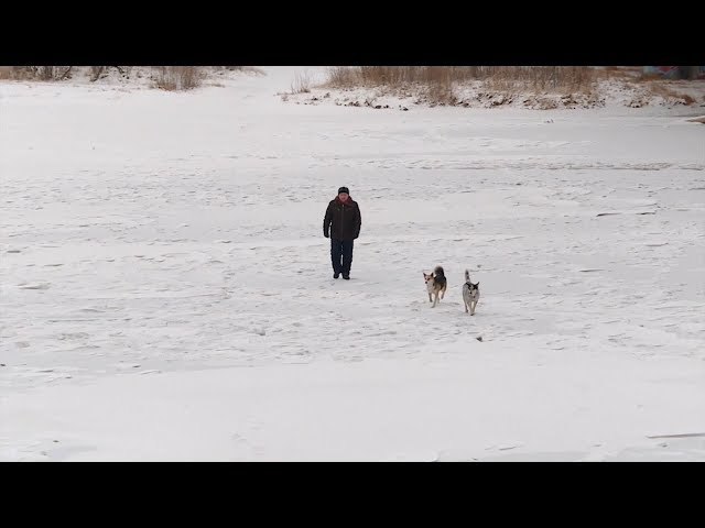Во избежание трагедий