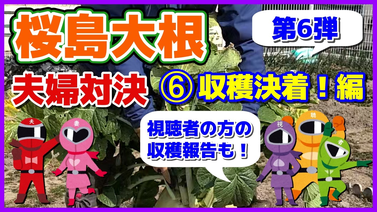 【桜島大根夫婦対決】2025-⑥ 収穫決着編／視聴者の方が収穫した桜島大根の写真も紹介／音声付きで見てね！