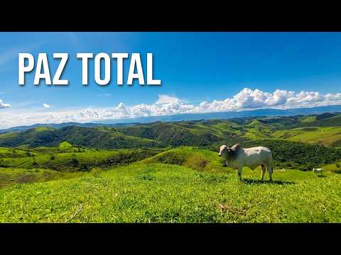 Sinta essa PAZ em Cunha SP: O incrível 'Mar de Morros' na Estrada Real!🌿🐂