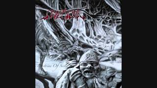 Synapticide - Blood Lust Exquisite