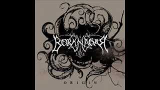 Borknagar - The Spirit of Nature