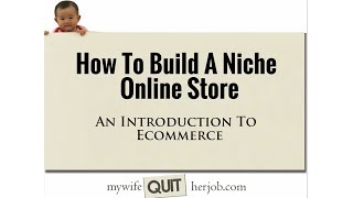 How To Build A Niche Online Store And An Introduction To Ecommerce
