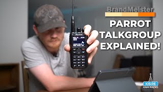 What Is Parrot Talk on DMR? Find Out Fast!
