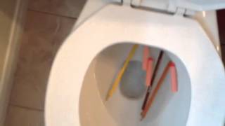 Flushing pencil crayons and nerf darts down the to