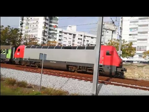 Comboio em Castelo Branco