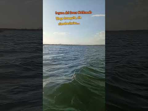 Laguna del Sauce Maldonado Uruguay