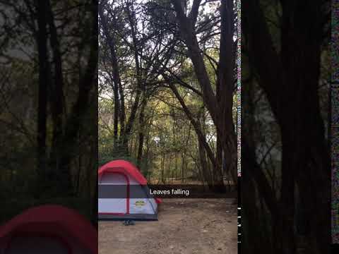 Breeze blowing the leaves down onto the tent and the camp site. 