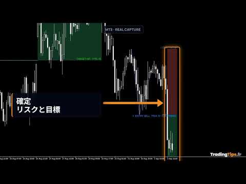 Video Double Top Bottom Head and Shoulders Levels MT5