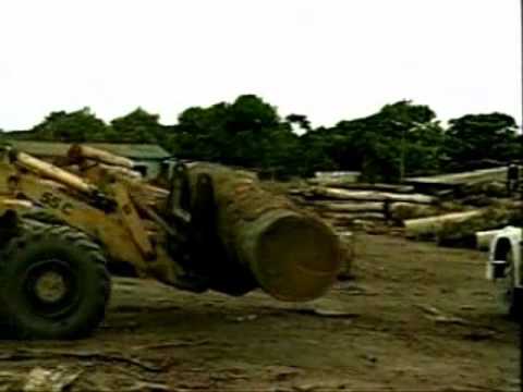 Amazônia video