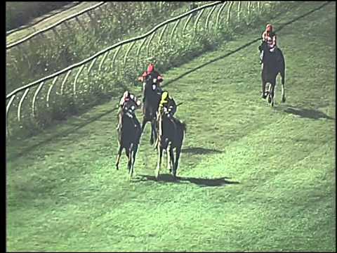 Galoppo 05/08/2015 - 6° corsa