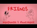 MARSHMELLO ANNA MARRIE FRIENDS COVER SONG