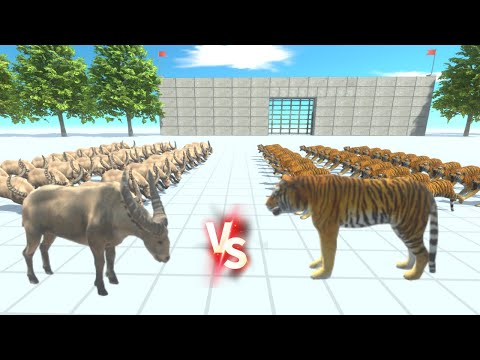 30 Tiger Vs 30 Water Buffalo - Animal Revolt Battle Simulator