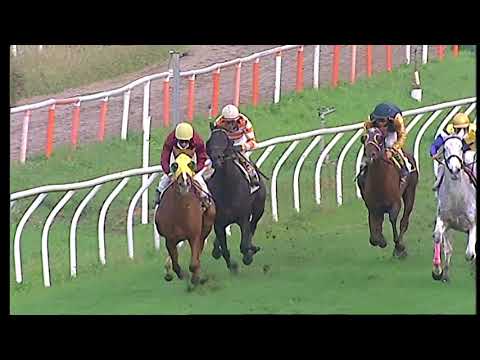 Galoppo 03/12/2020 - 4ª corsa