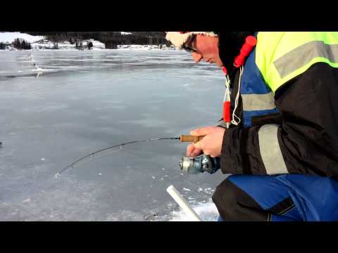 Søørred fanges ved isfiskeri i Norge
