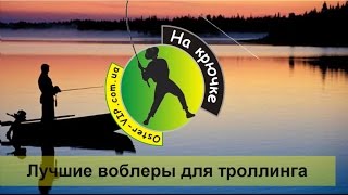 10 лучших троллинговых воблеров на щуку
