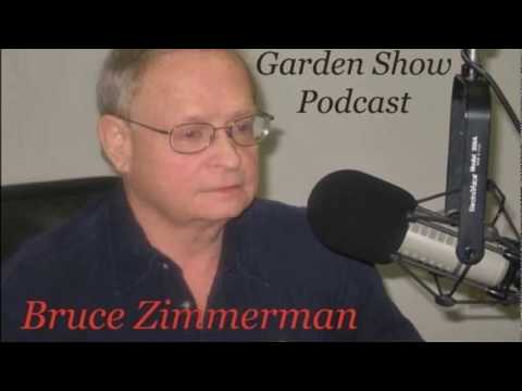 Tanacetum, Thalictrum & Tiarella