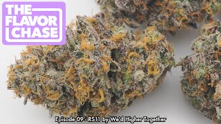 The Flavor Chase | 09 | Review | RS11 by We'd Higher Together | Absolute TOP Shelf Type 1 Cannabis`