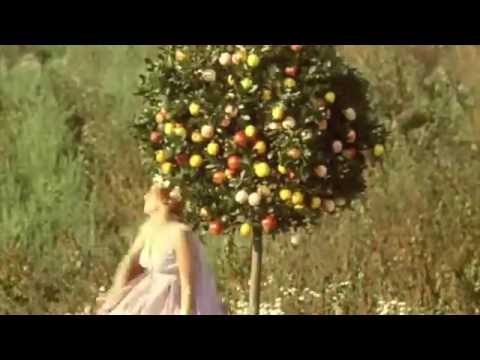 The Ships + Peralta en Bilbao