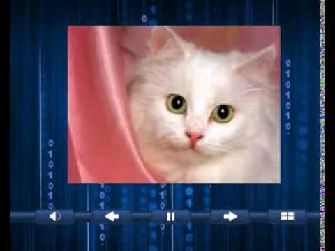 Renungan Manja Maimun Hussein