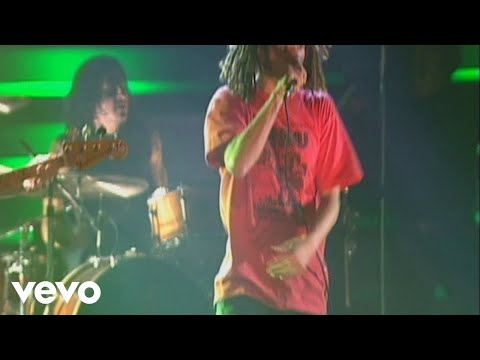 Rage Against The Machine - Bulls on Parade (from The Battle Of Mexico City)