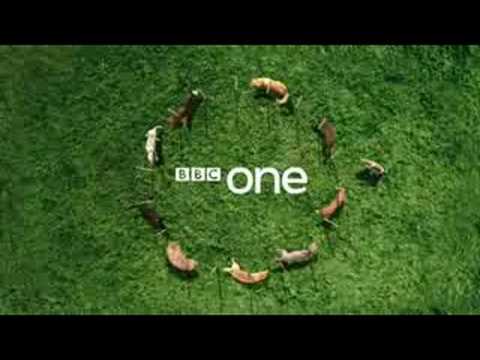 New BBC One Ident - Dog Display