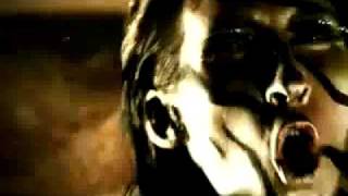 Aterciopelados - Hijos de Tigre ( Video Oficial )