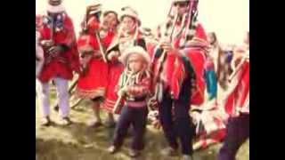 los hermanos taipe - bayo caballito