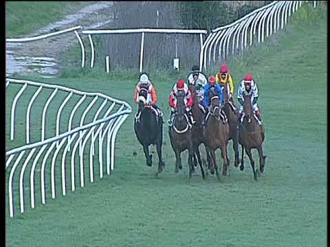 Galoppo 13/02/2018 - 4ª corsa