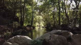 Download lagu youtube music music downloader song mp3 download mp3 music download play music free music mp3 Download lagu youtube music music downloader song mp3 download mp3 music download play music free music mp3