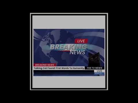 BREAKING NEWS: Talking cat found!!!