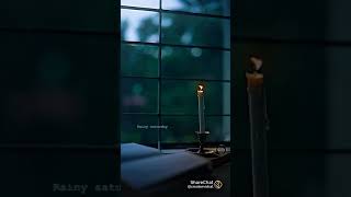 The rain drops with leaves#rain#leaves#train#candle ................................................